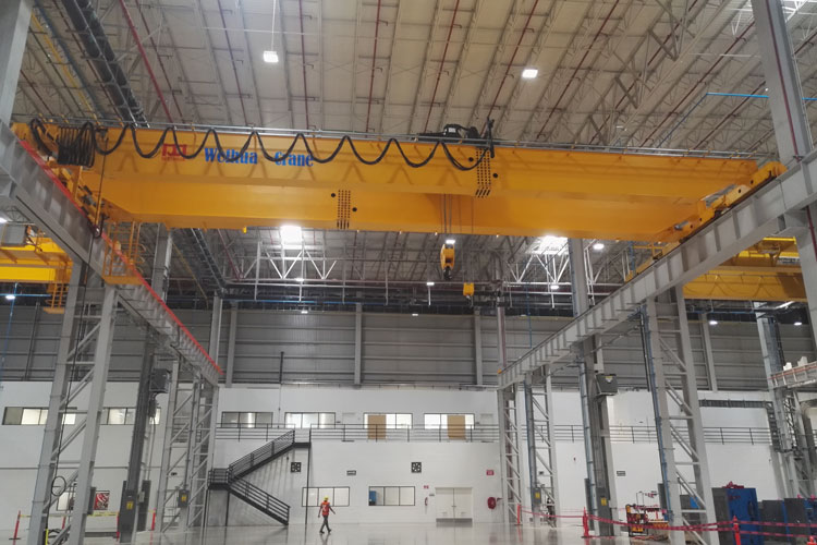 NLH Double Girder Overhead Crane with Hoist